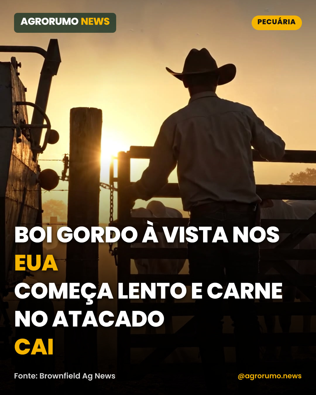 Boi gordo à vista nos EUA começa lento e carne no atacado cai