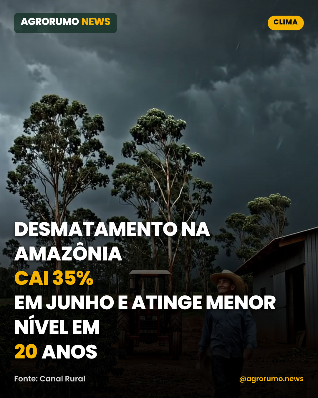 Desmatamento na Amazônia cai 35% em junho e atinge menor nível em 20 anos