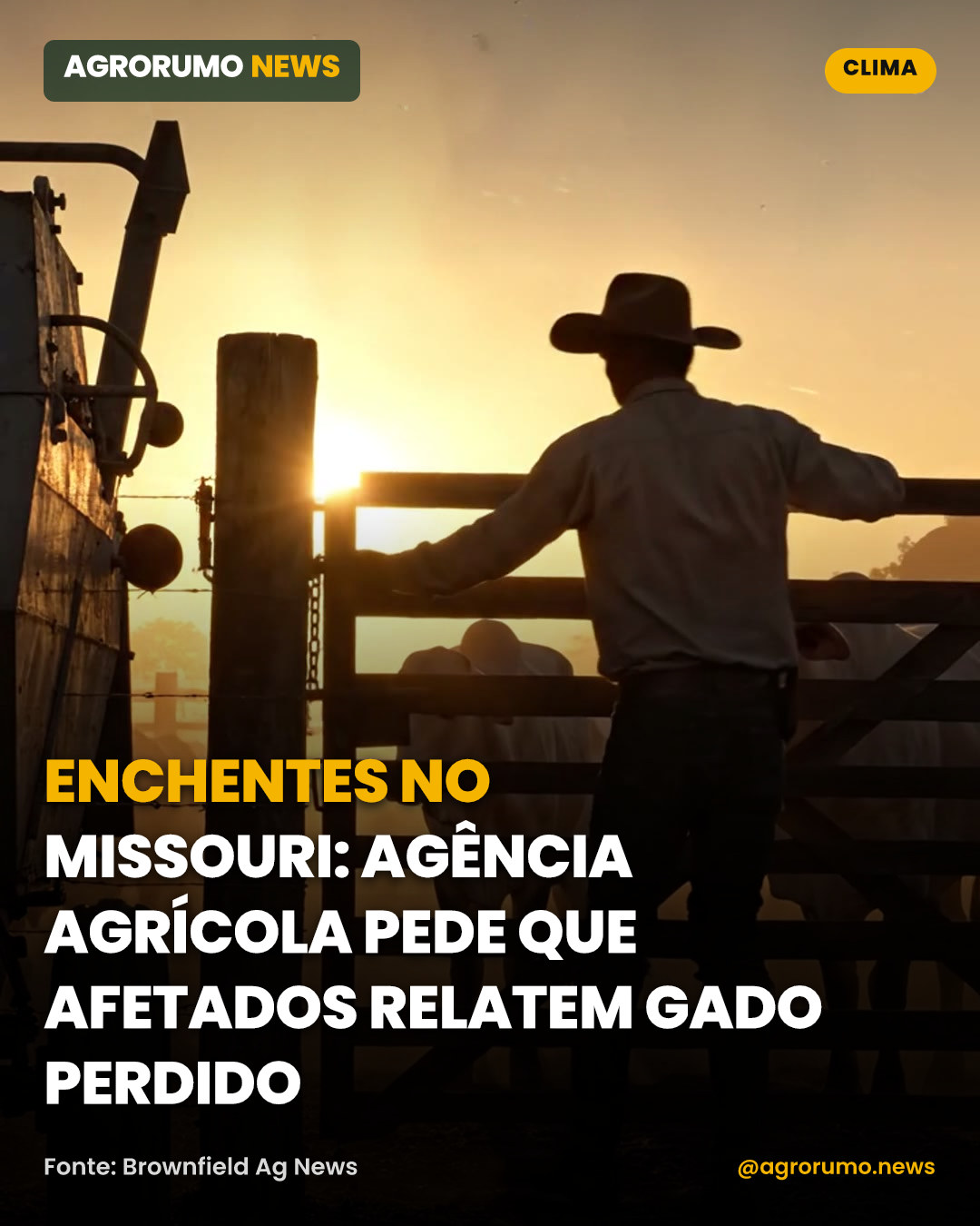 Enchentes no Missouri: agência agrícola pede que afetados relatem gado perdido
