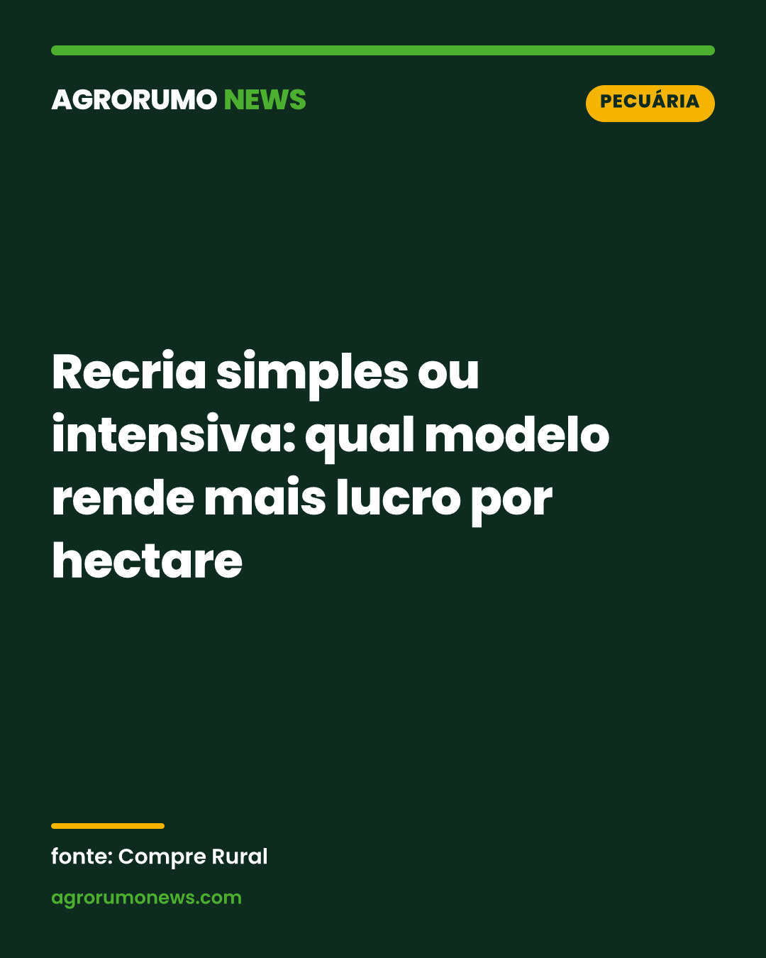 Recria simples ou intensiva: qual modelo rende mais lucro por hectare