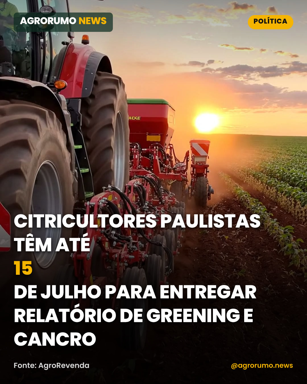 Citricultores paulistas têm até 15 de julho para entregar relatório de greening e cancro