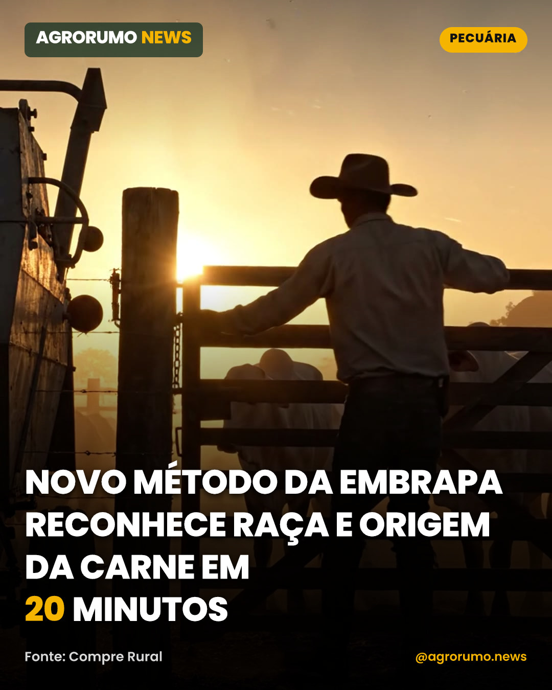 Novo método da Embrapa reconhece raça e origem da carne em 20 minutos
