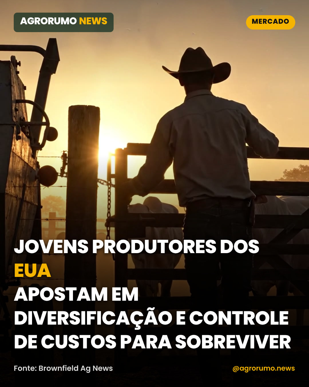 Jovens produtores dos EUA apostam em diversificação e controle de custos para sobreviver