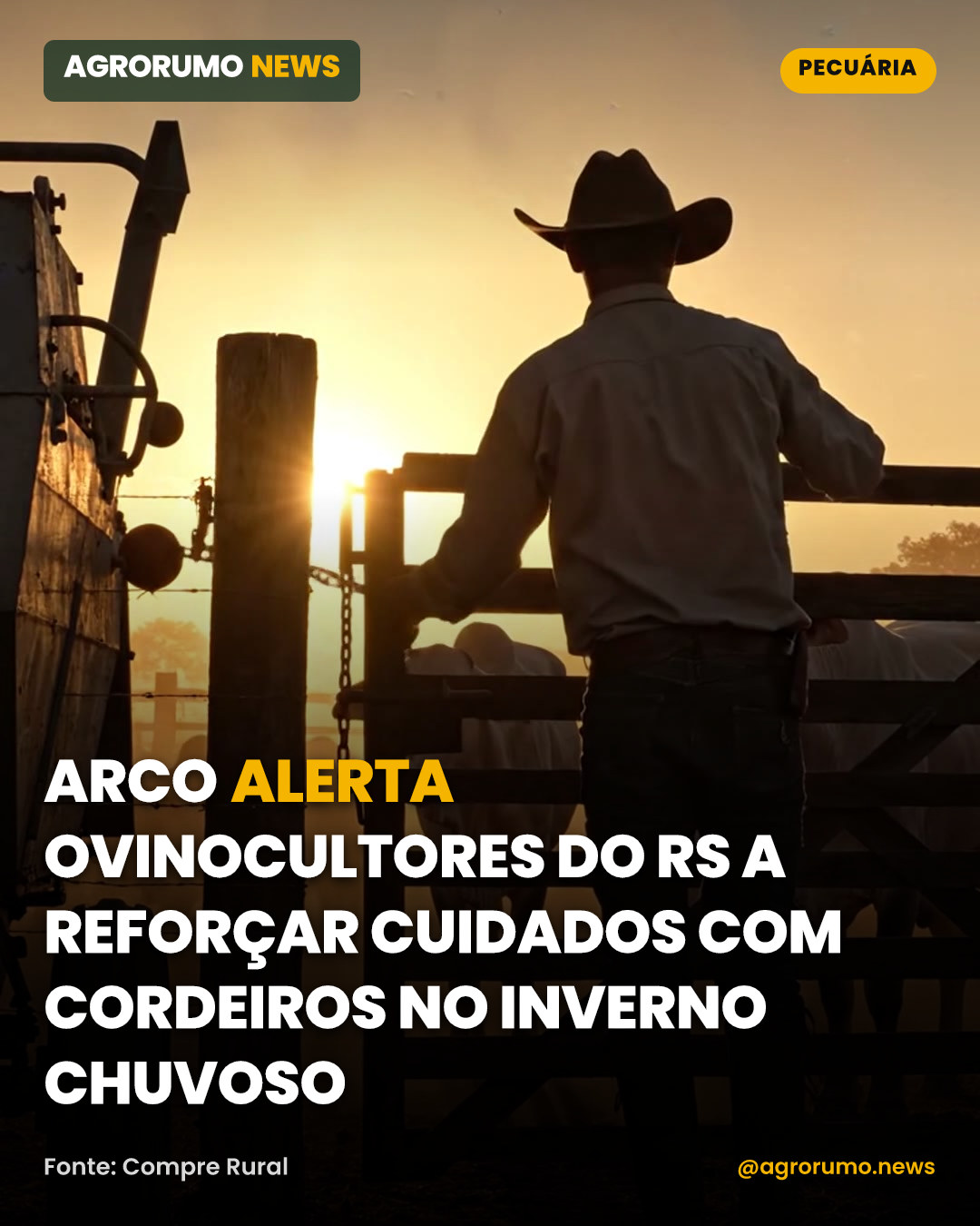 ARCO alerta ovinocultores do RS a reforçar cuidados com cordeiros no inverno chuvoso