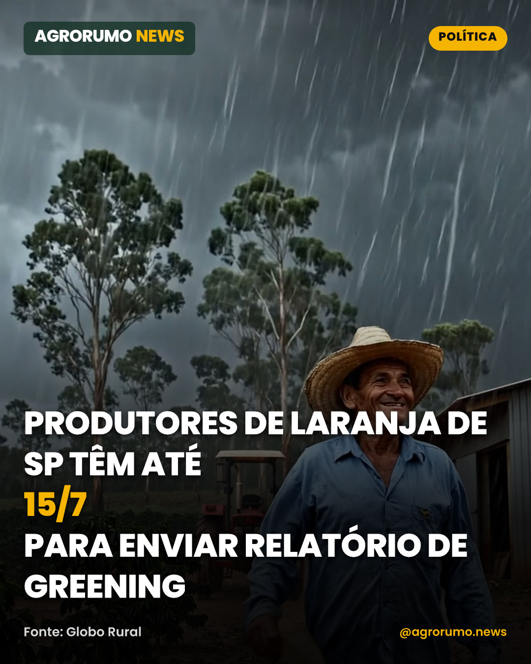 Produtores de laranja de SP têm até 15/7 para enviar relatório de greening
