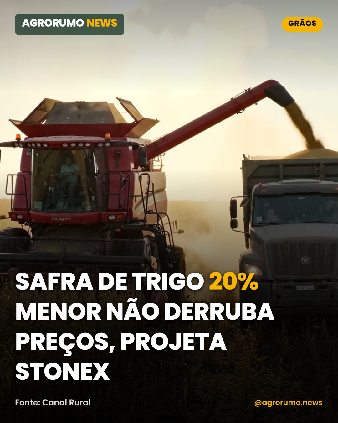 Safra de trigo 20% menor não derruba preços, projeta StoneX