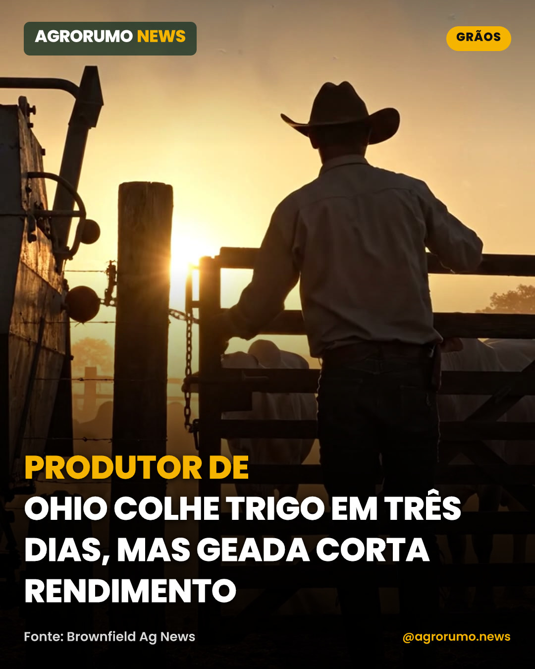 Produtor de Ohio colhe trigo em três dias, mas geada corta rendimento
