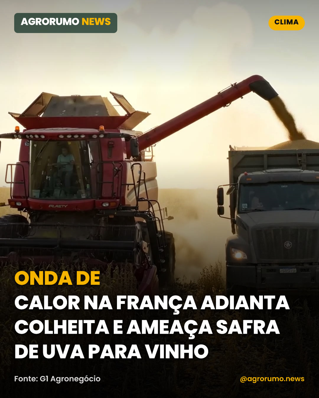 Onda de calor na França adianta colheita e ameaça safra de uva para vinho