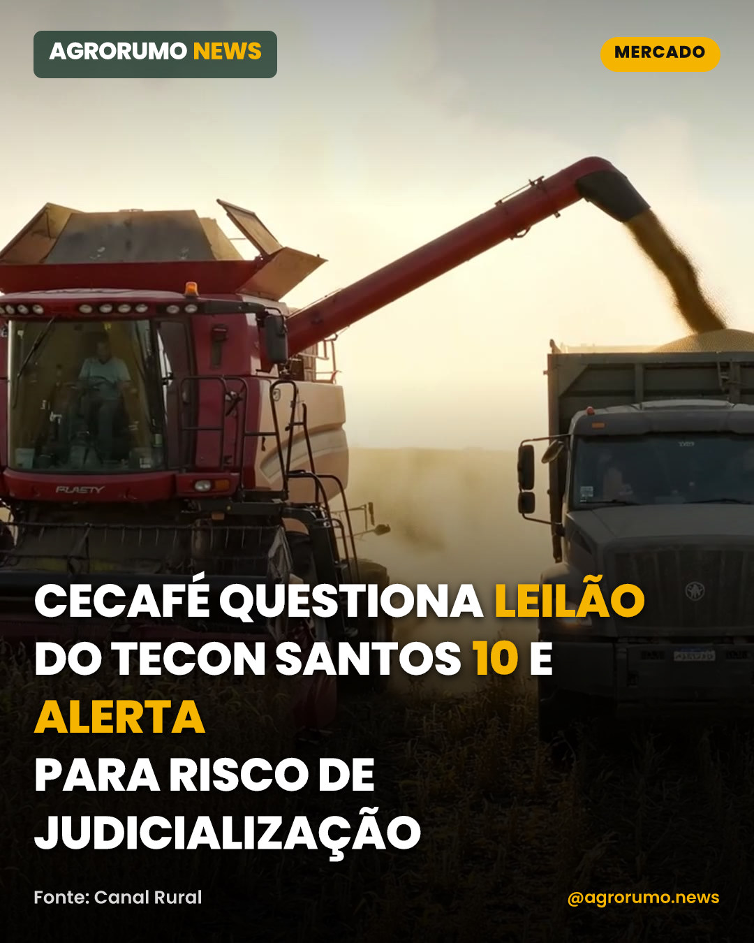 Cecafé questiona leilão do Tecon Santos 10 e alerta para risco de judicialização