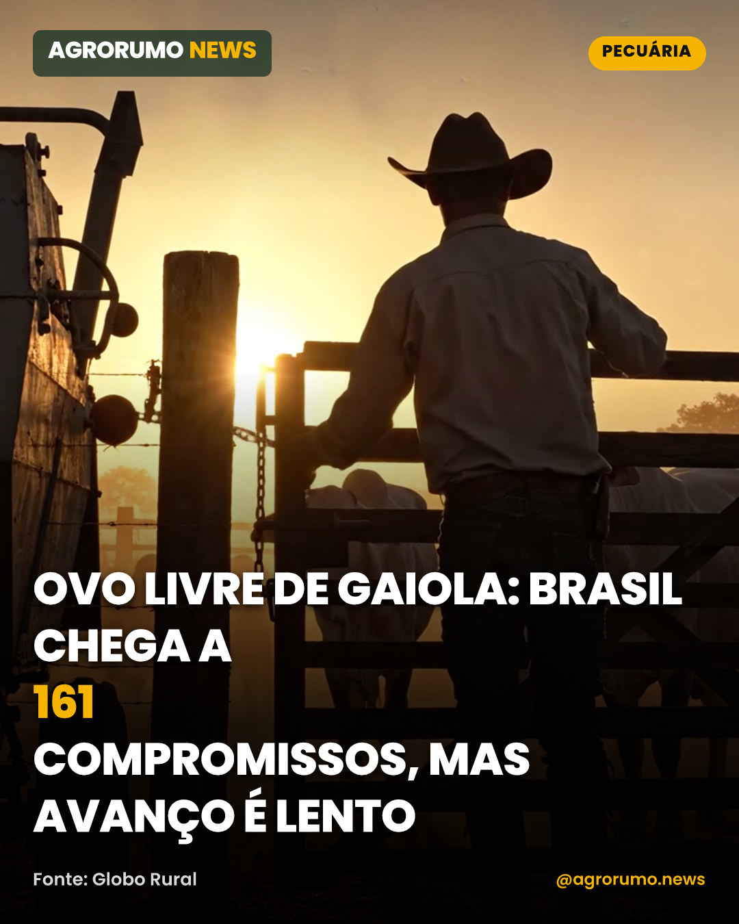 Ovo livre de gaiola: Brasil chega a 161 compromissos, mas avanço é lento