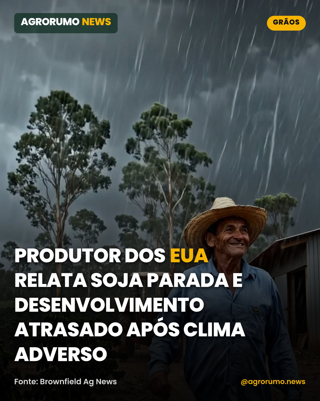 Produtor dos EUA relata soja parada e desenvolvimento atrasado após clima adverso