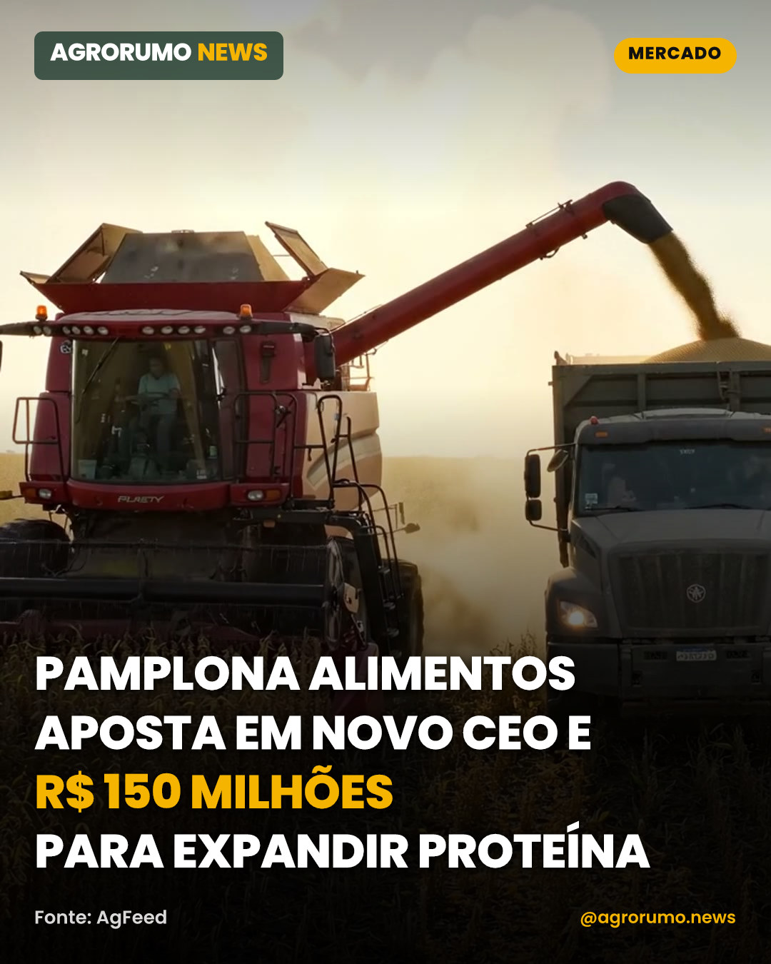 Pamplona Alimentos aposta em novo CEO e R$ 150 milhões para expandir proteína