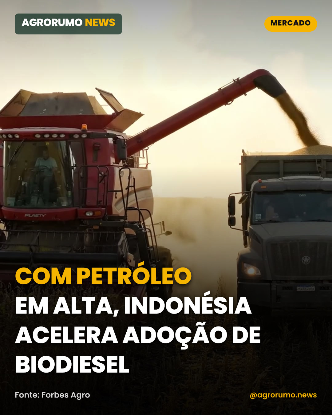 Com petróleo em alta, Indonésia acelera adoção de biodiesel