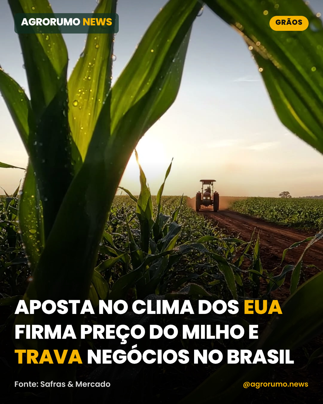 Aposta no clima dos EUA firma preço do milho e trava negócios no Brasil
