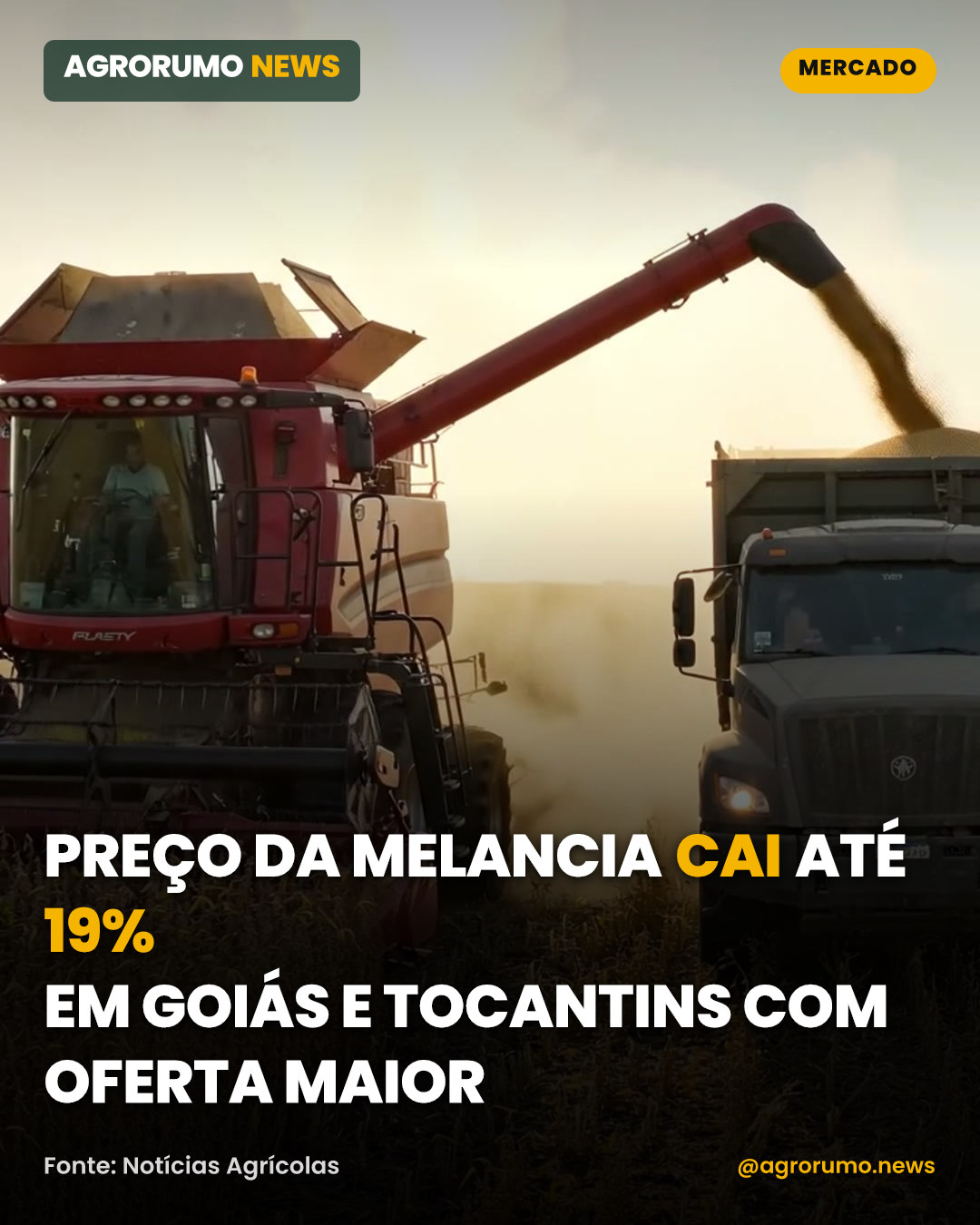 Preço da melancia cai até 19% em Goiás e Tocantins com oferta maior