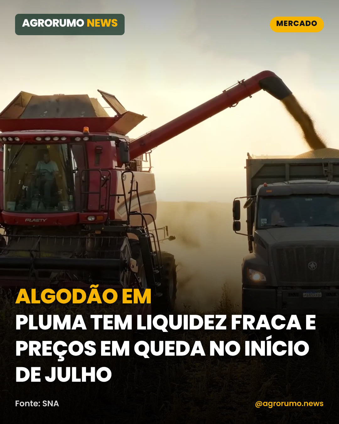 Algodão em pluma tem liquidez fraca e preços em queda no início de julho