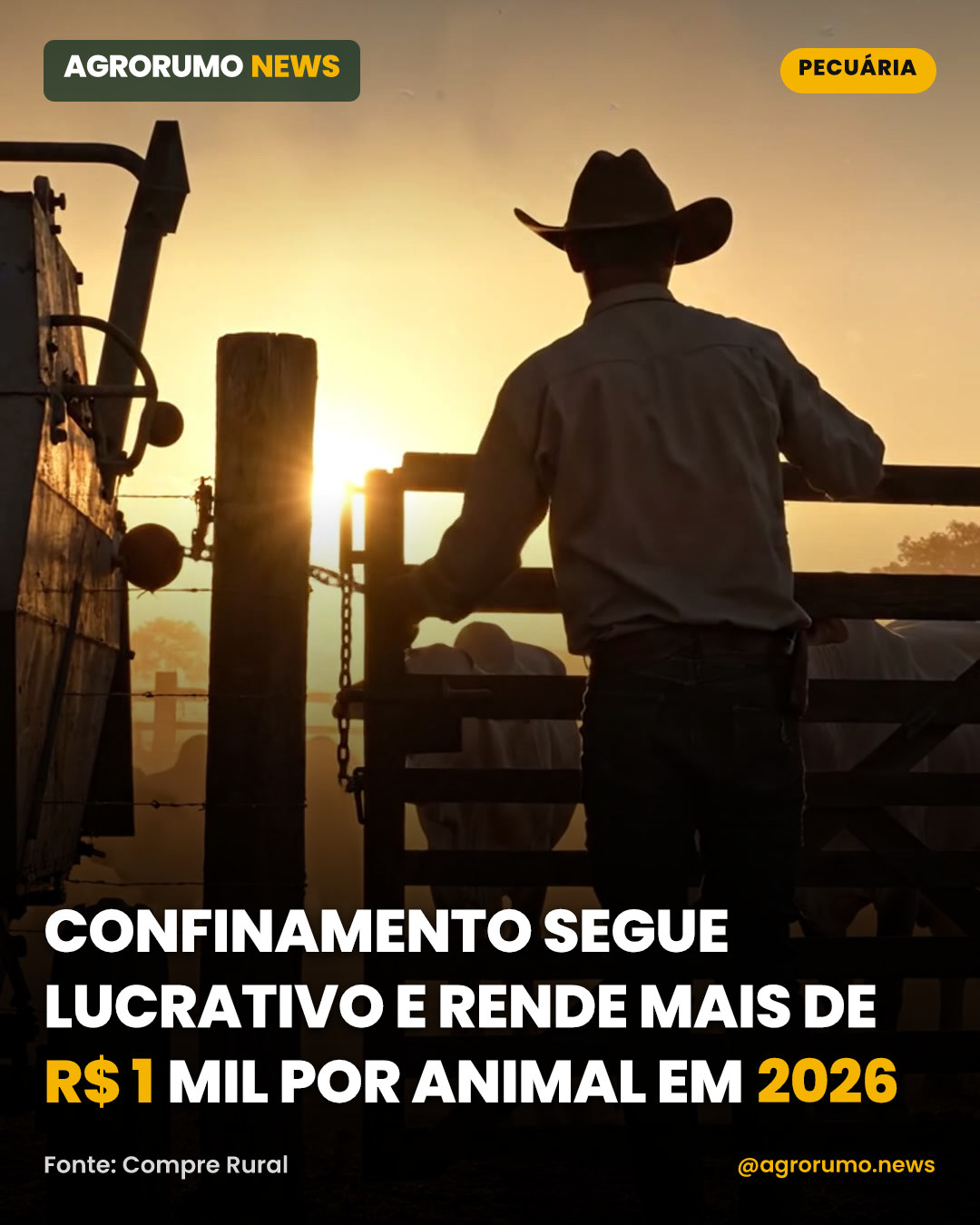 Confinamento segue lucrativo e rende mais de R$ 1 mil por animal em 2026