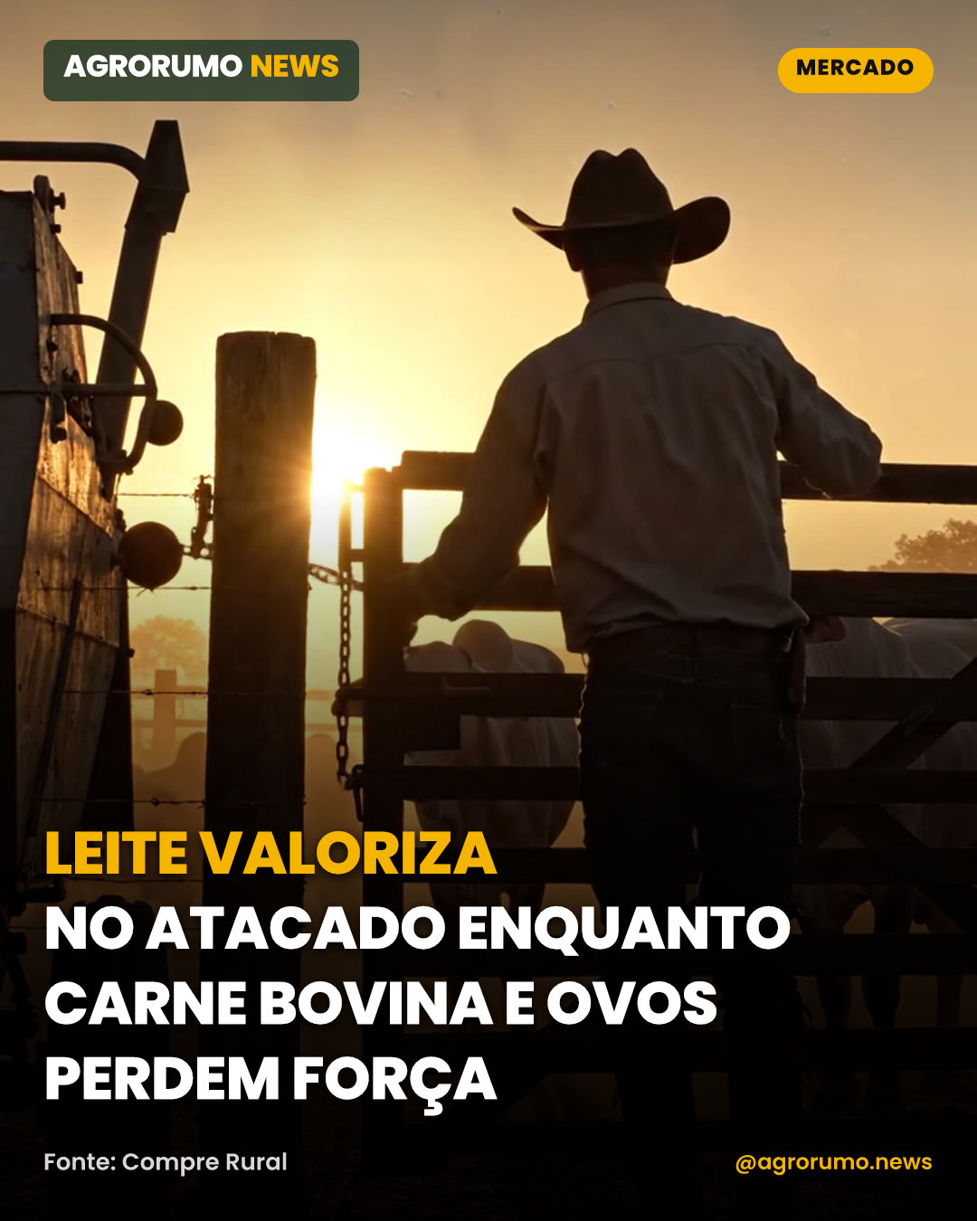 Leite valoriza no atacado enquanto carne bovina e ovos perdem força