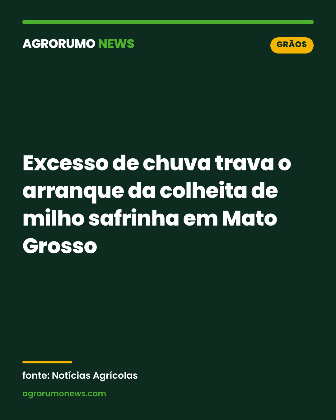 Excesso de chuva trava o arranque da colheita de milho safrinha em Mato Grosso