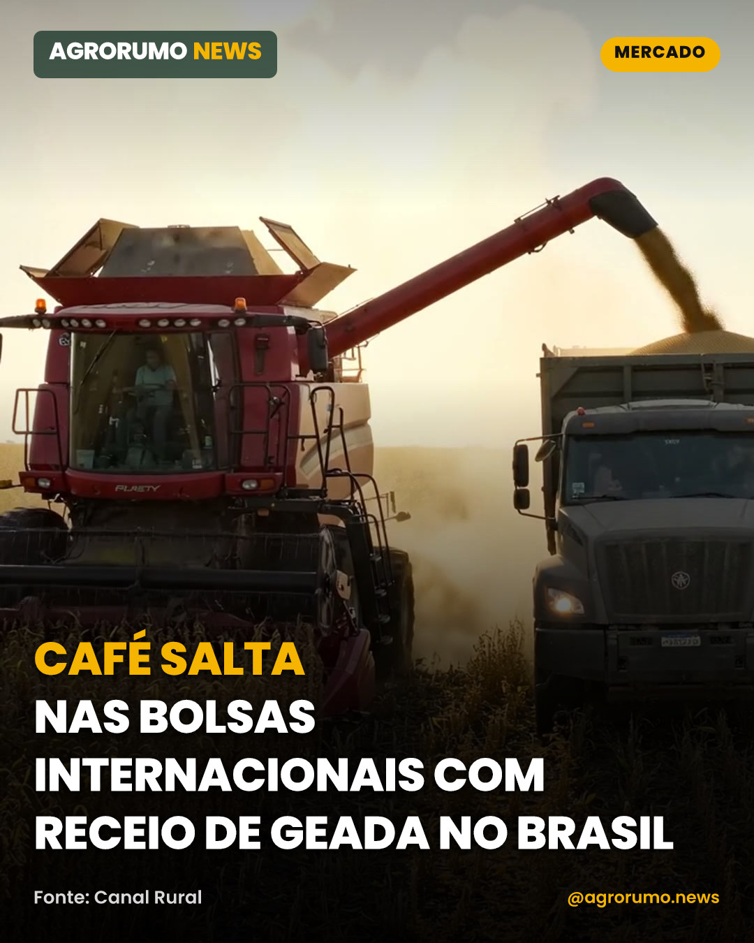 Café salta nas bolsas internacionais com receio de geada no Brasil
