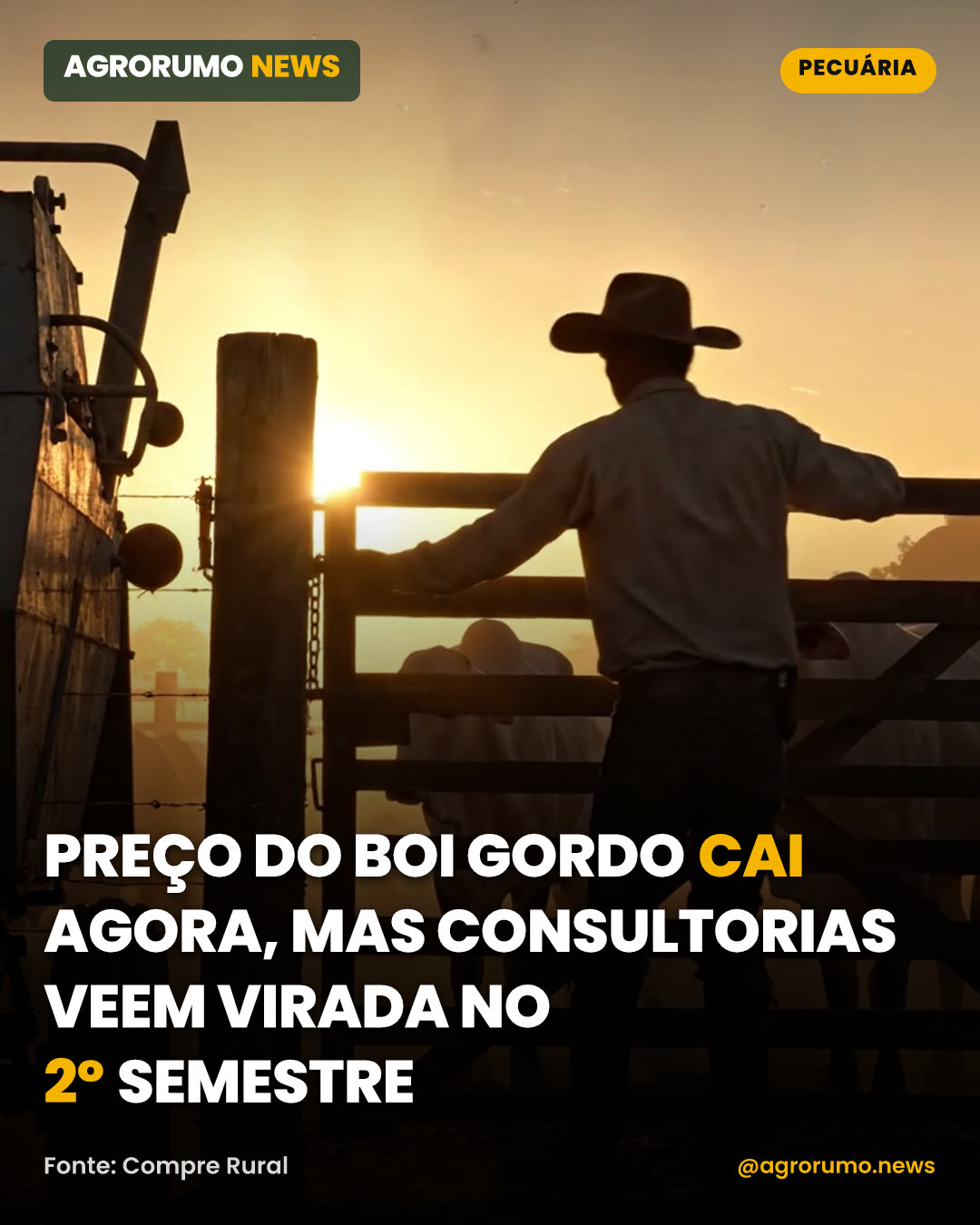 Preço do boi gordo cai agora, mas consultorias veem virada no 2º semestre