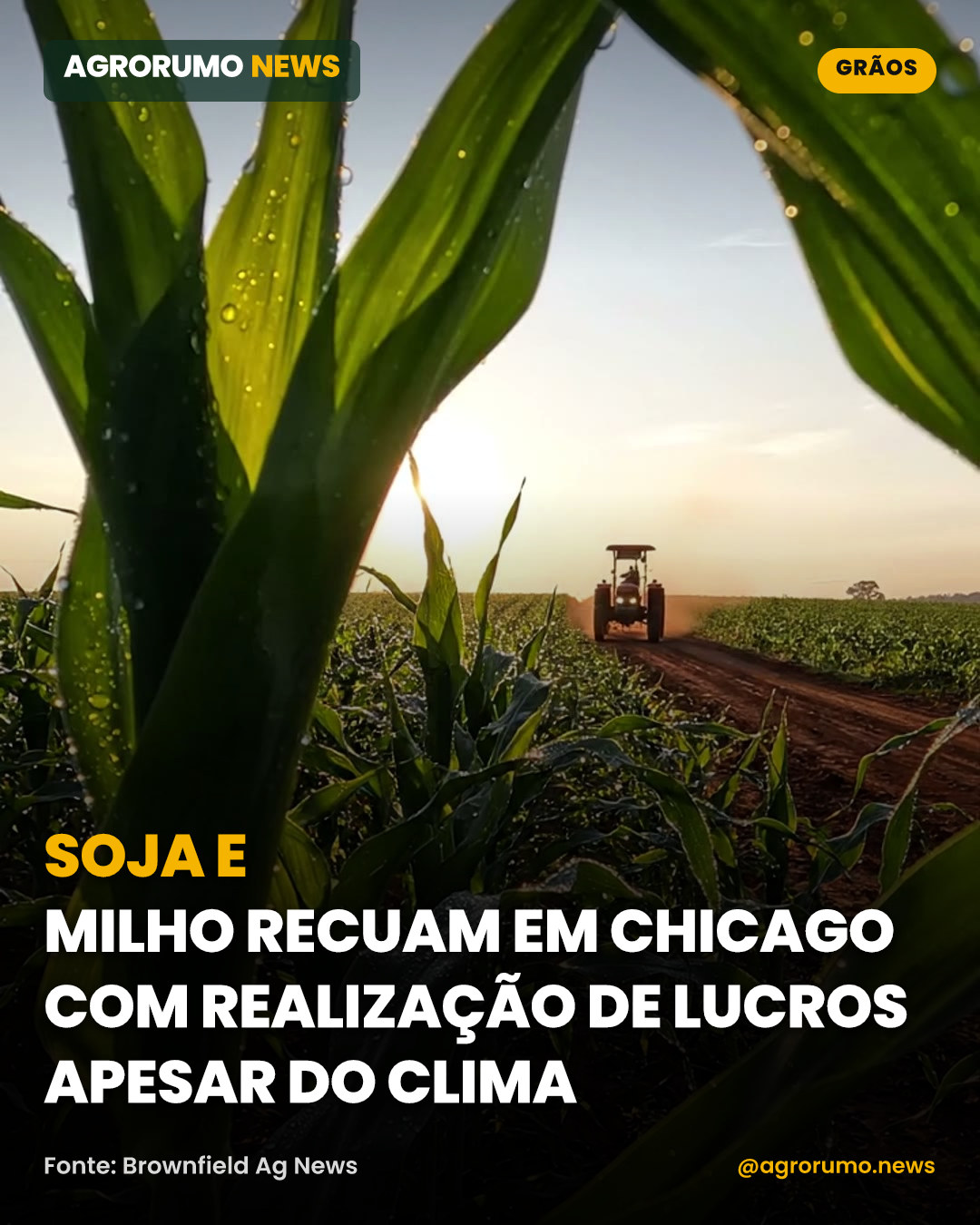 Soja e milho recuam em Chicago com realização de lucros apesar do clima