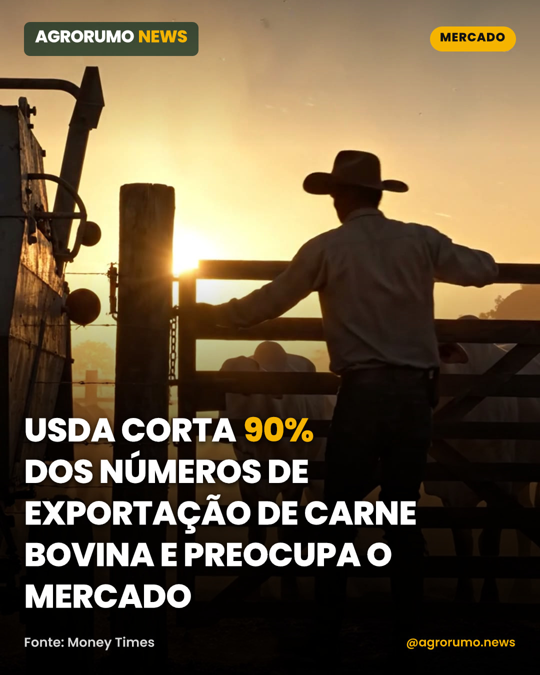 USDA corta 90% dos números de exportação de carne bovina e preocupa o mercado