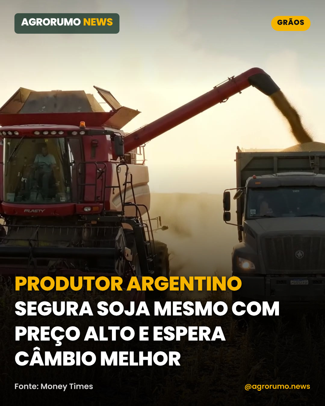 Produtor argentino segura soja mesmo com preço alto e espera câmbio melhor