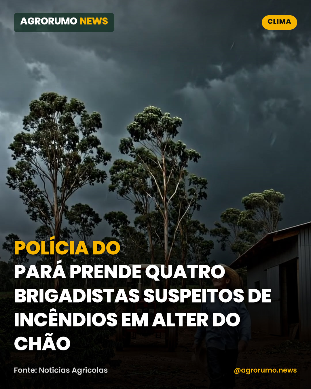 Polícia do Pará prende quatro brigadistas suspeitos de incêndios em Alter do Chão