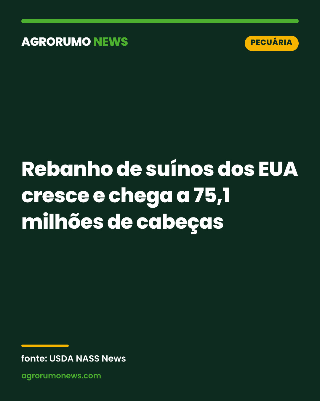 Rebanho de suínos dos EUA cresce e chega a 75,1 milhões de cabeças