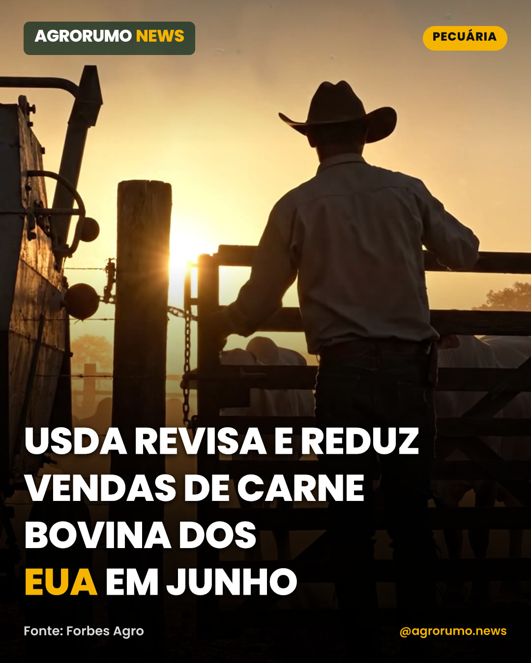 USDA revisa e reduz vendas de carne bovina dos EUA em junho