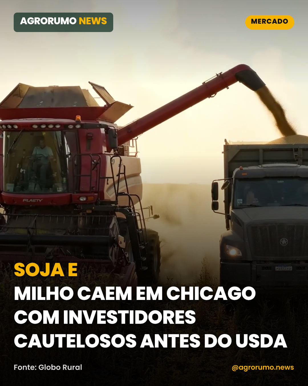Soja e milho caem em Chicago com investidores cautelosos antes do USDA