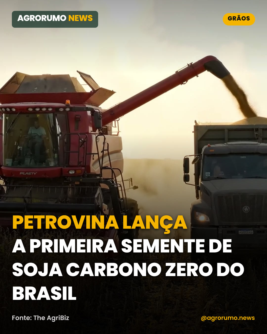 Petrovina lança a primeira semente de soja carbono zero do Brasil