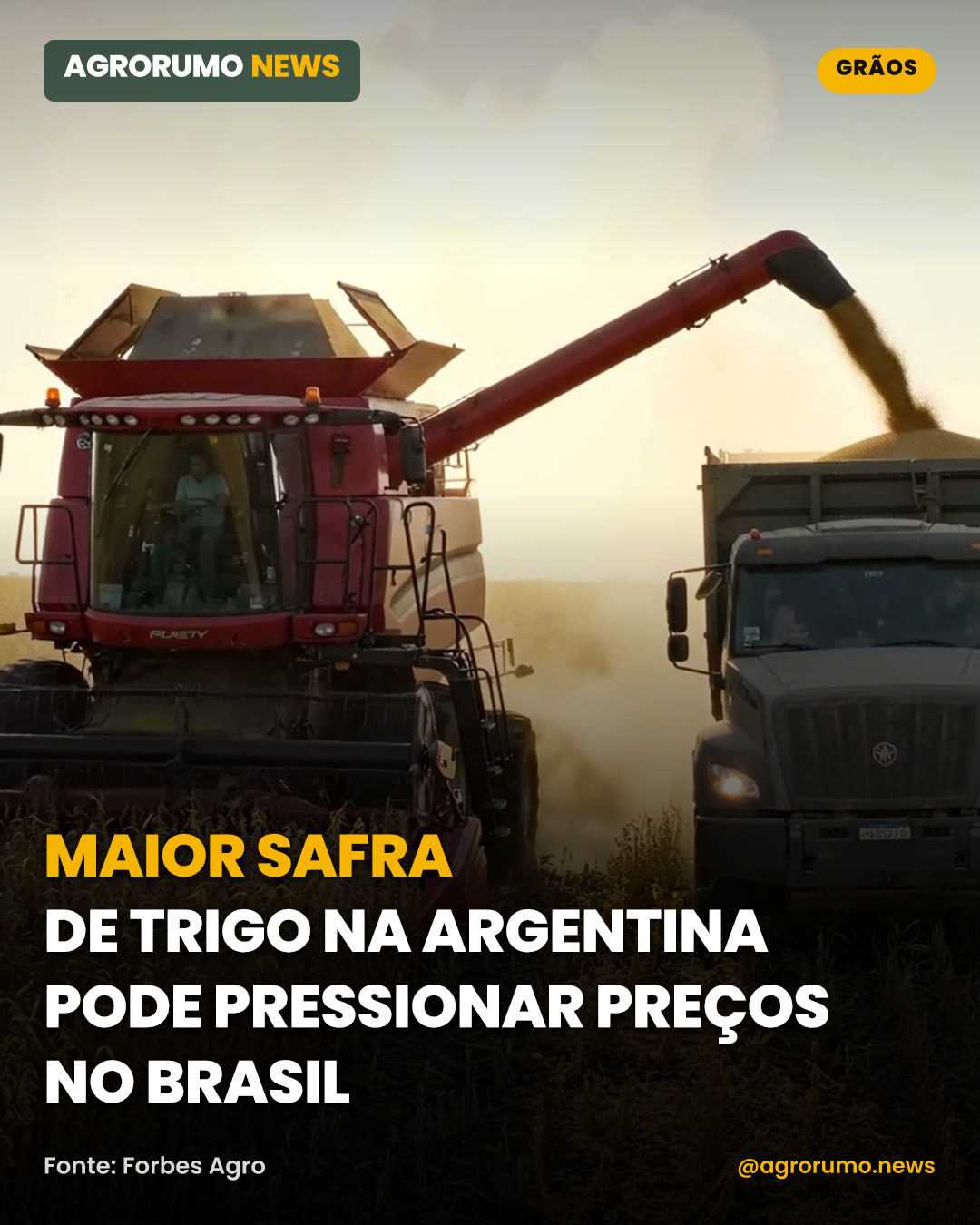 Maior safra de trigo na Argentina pode pressionar preços no Brasil