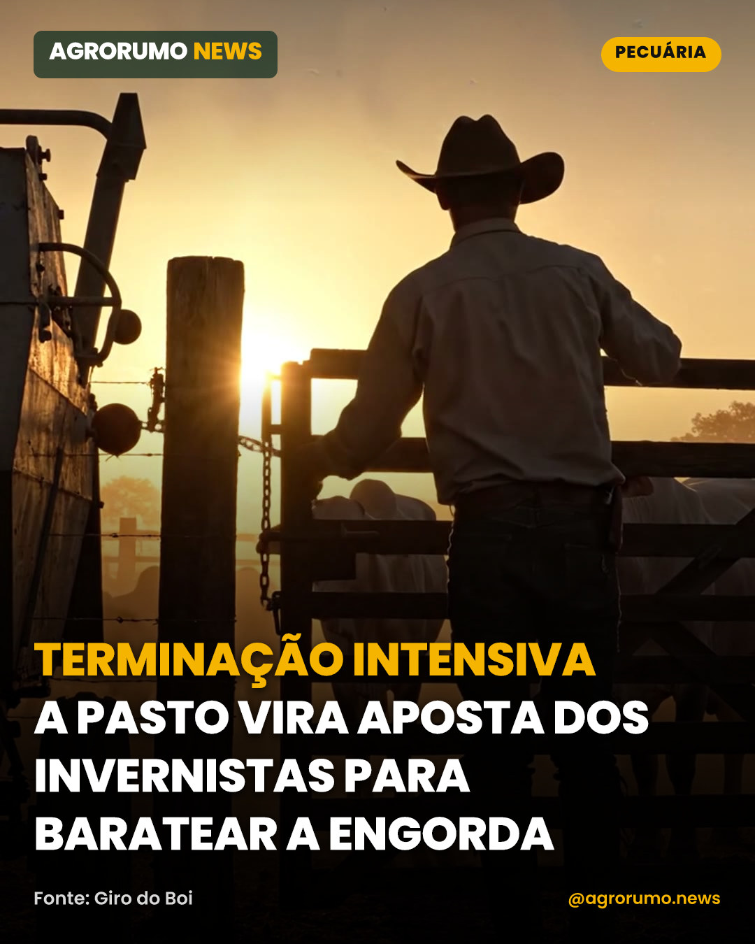 Terminação intensiva a pasto vira aposta dos invernistas para baratear a engorda