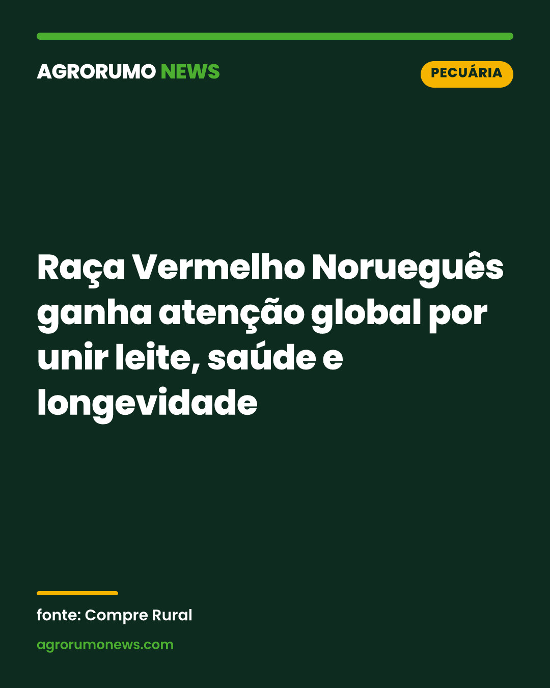 Raça Vermelho Norueguês ganha atenção global por unir leite, saúde e longevidade