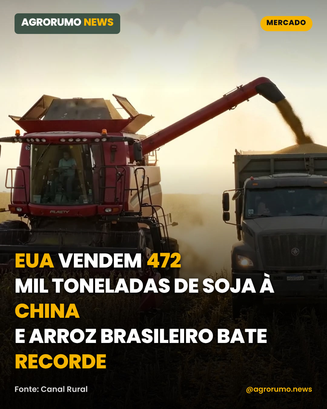 EUA vendem 472 mil toneladas de soja à China e arroz brasileiro bate recorde
