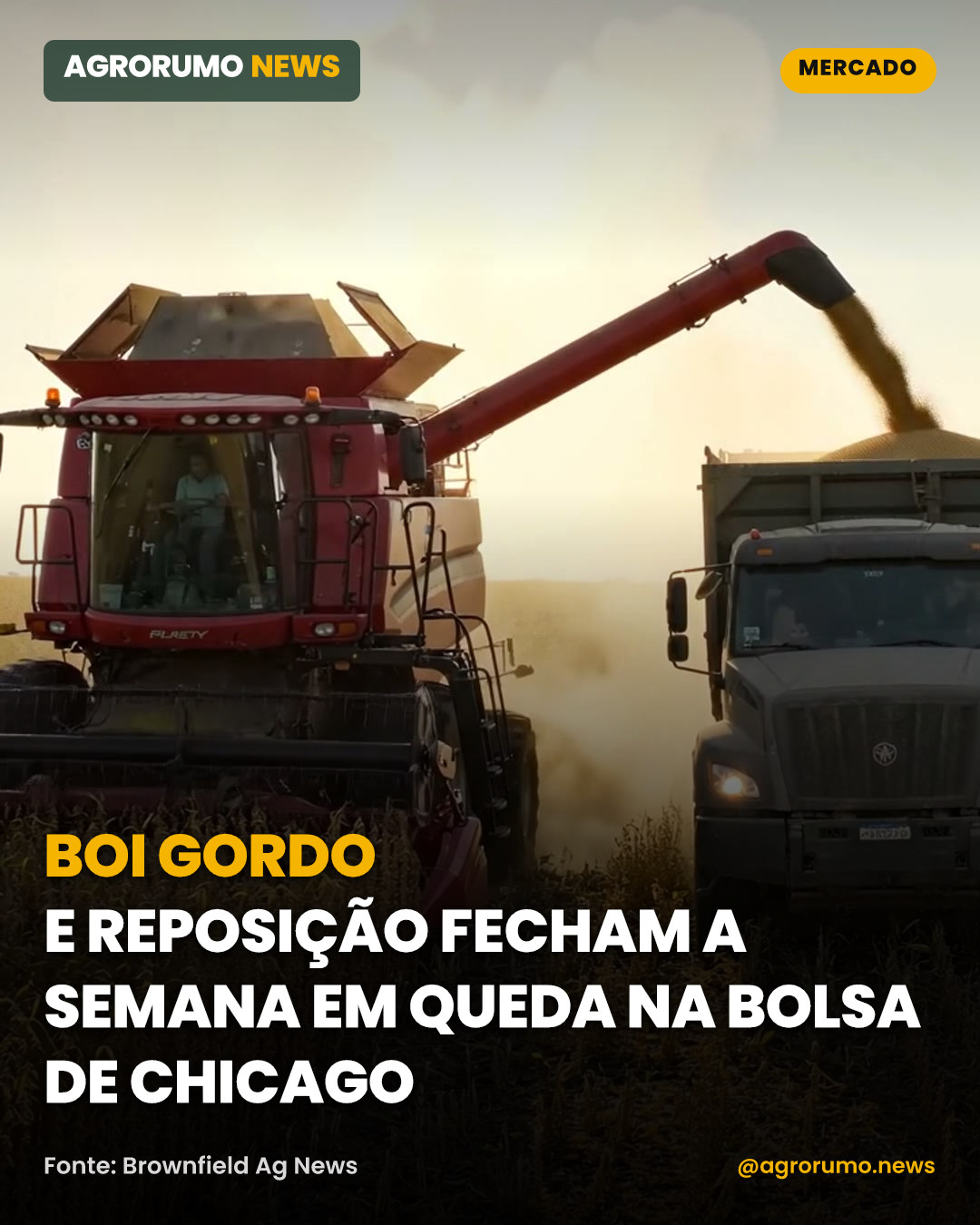 Boi gordo e reposição fecham a semana em queda na bolsa de Chicago
