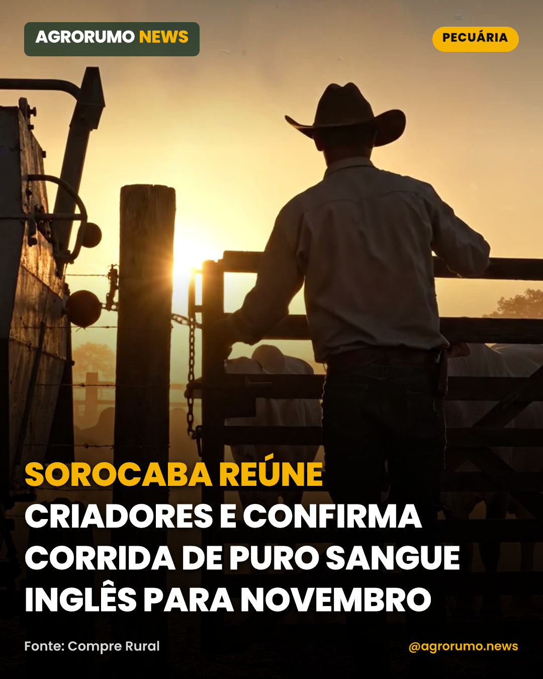Sorocaba reúne criadores e confirma corrida de Puro Sangue Inglês para novembro