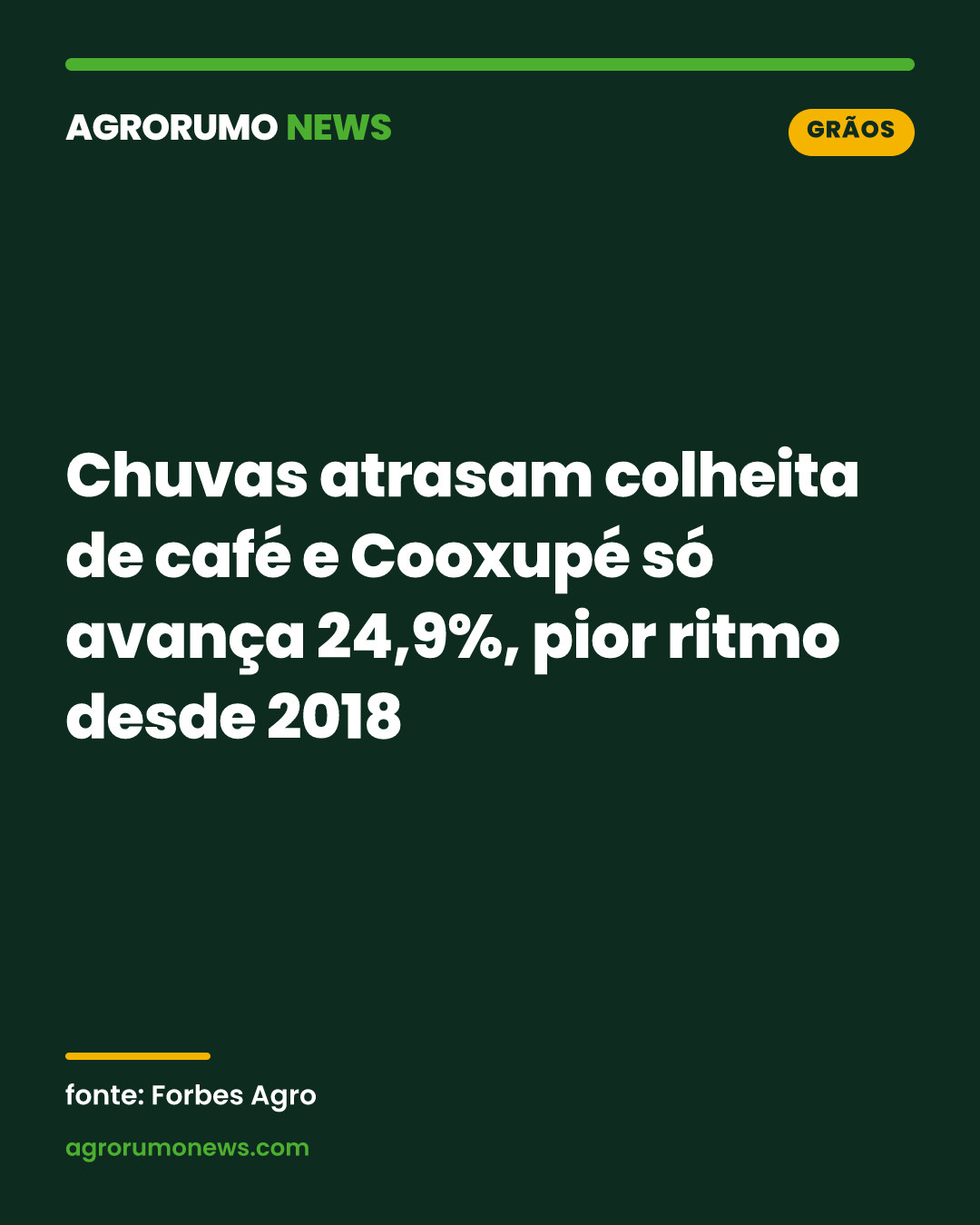 Chuvas atrasam colheita de café e Cooxupé só avança 24,9%, pior ritmo desde 2018
