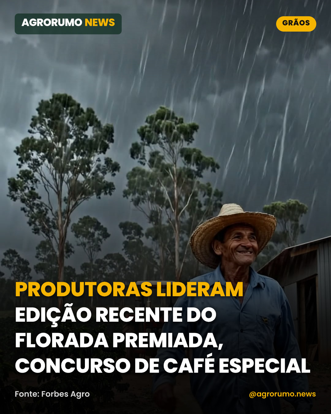 Produtoras lideram edição recente do Florada Premiada, concurso de café especial