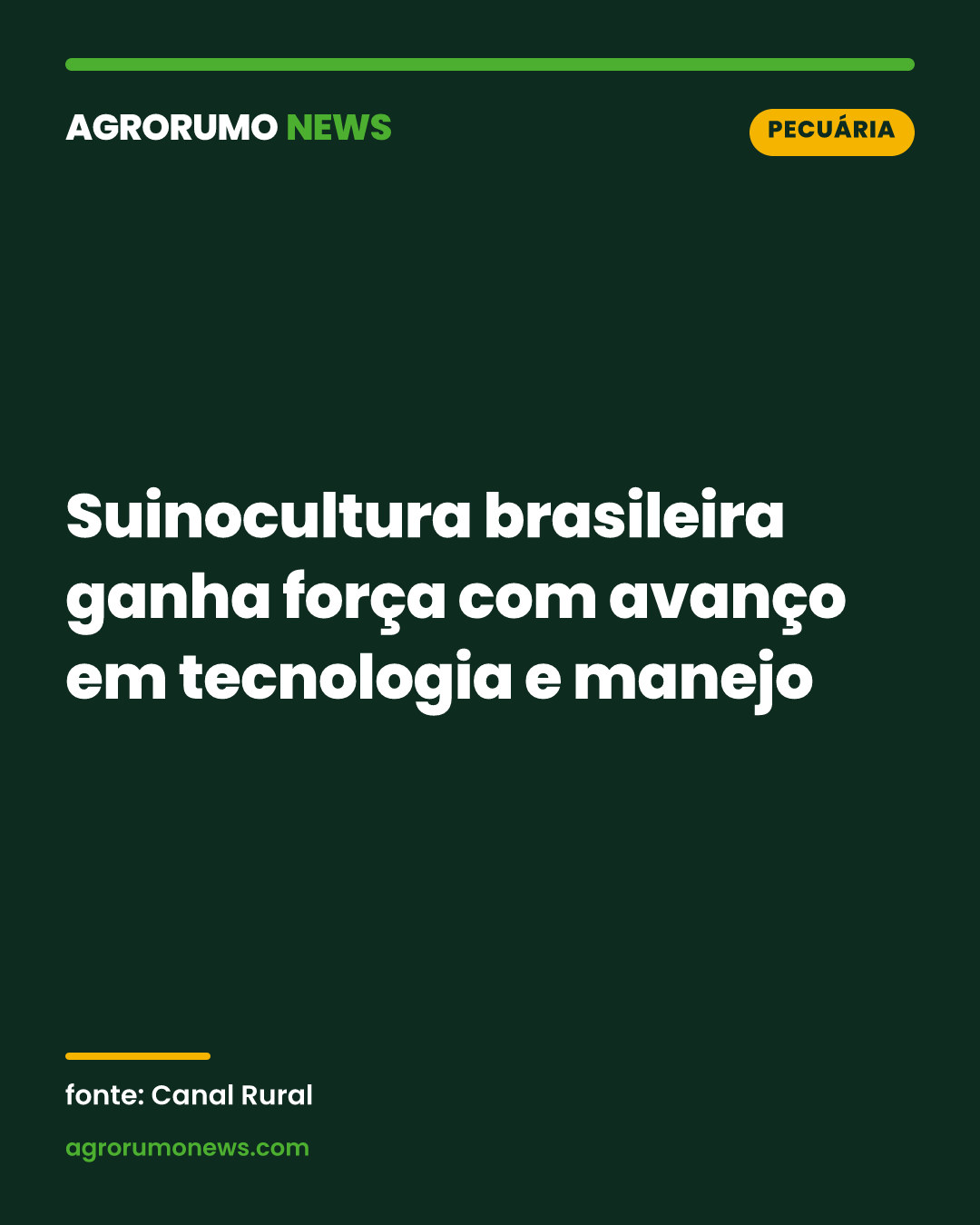 Suinocultura brasileira ganha força com avanço em tecnologia e manejo