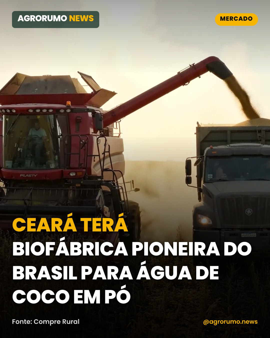 Ceará terá biofábrica pioneira do Brasil para água de coco em pó