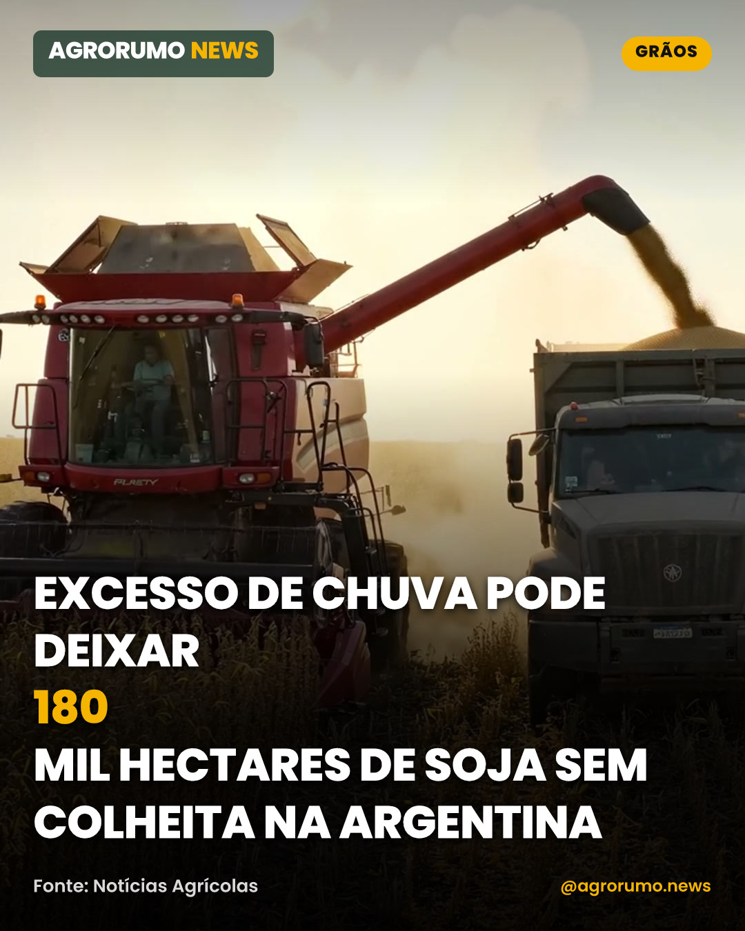 Excesso de chuva pode deixar 180 mil hectares de soja sem colheita na Argentina