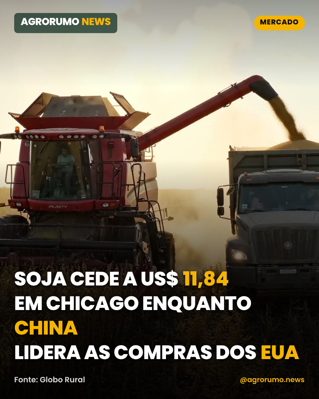 Soja cede a US$ 11,84 em Chicago enquanto China lidera as compras dos EUA