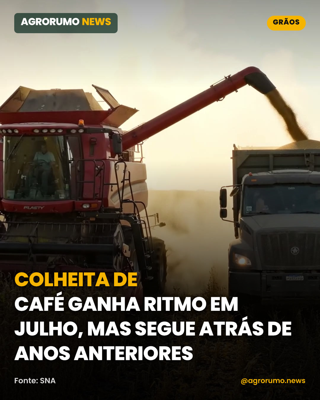 Colheita de café ganha ritmo em julho, mas segue atrás de anos anteriores
