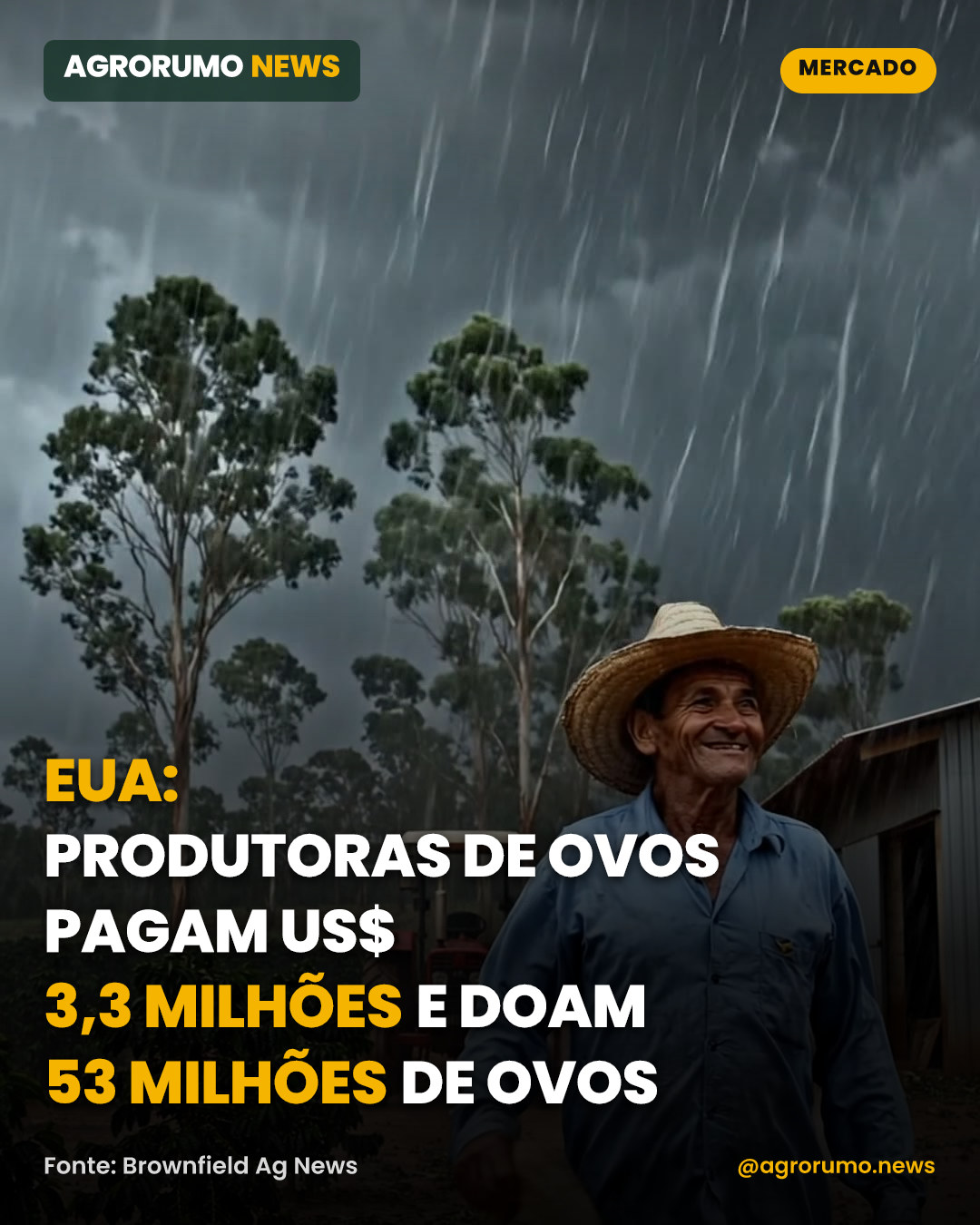 EUA: produtoras de ovos pagam US$ 3,3 milhões e doam 53 milhões de ovos
