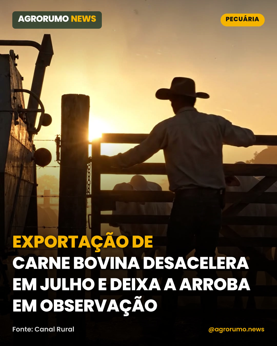 Exportação de carne bovina desacelera em julho e deixa a arroba em observação