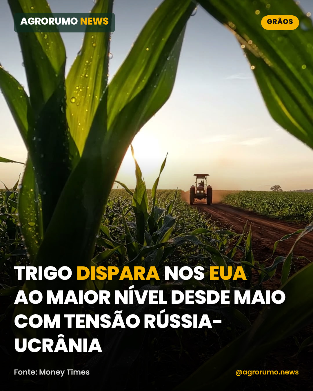 Trigo dispara nos EUA ao maior nível desde maio com tensão Rússia-Ucrânia