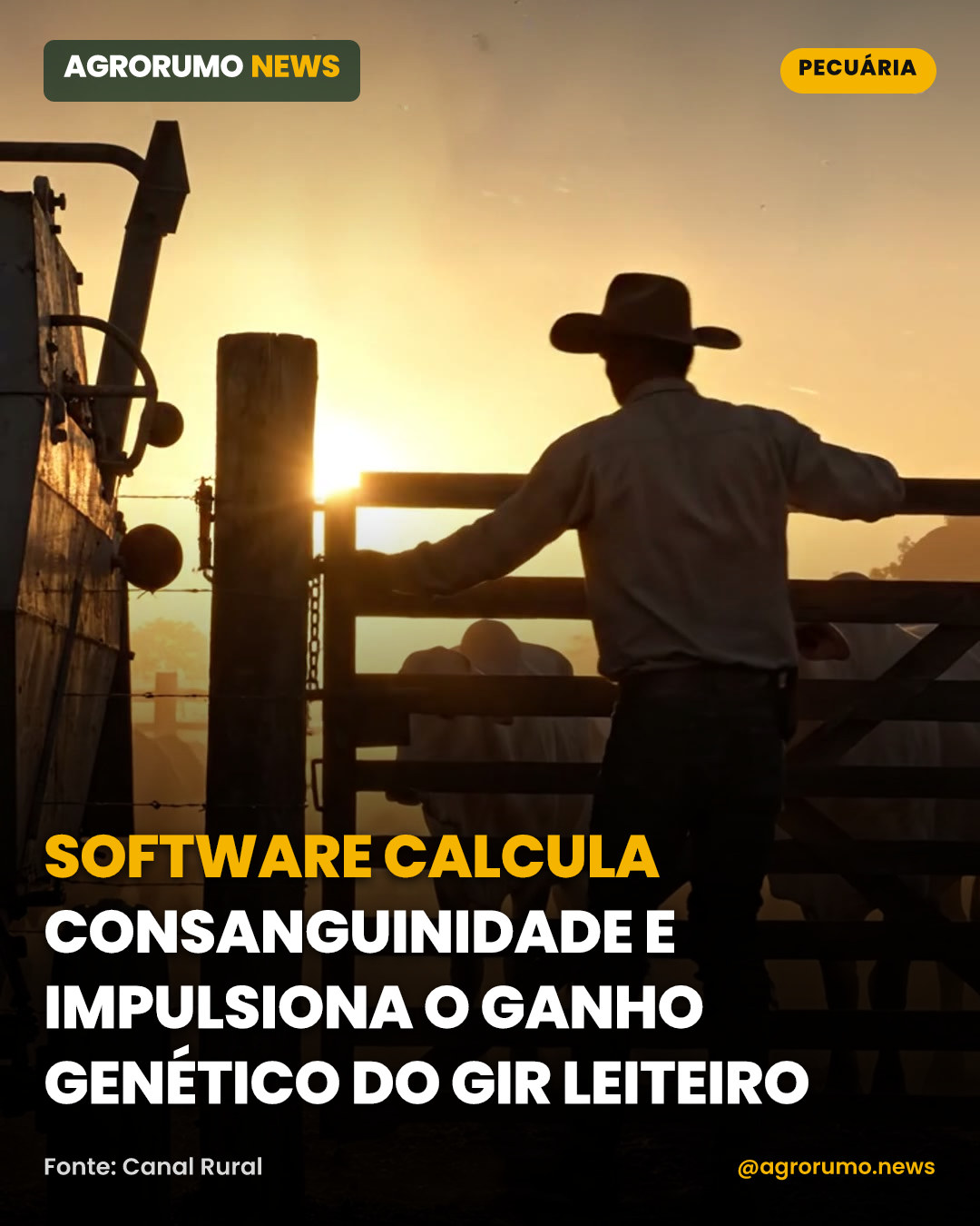 Software calcula consanguinidade e impulsiona o ganho genético do gir leiteiro